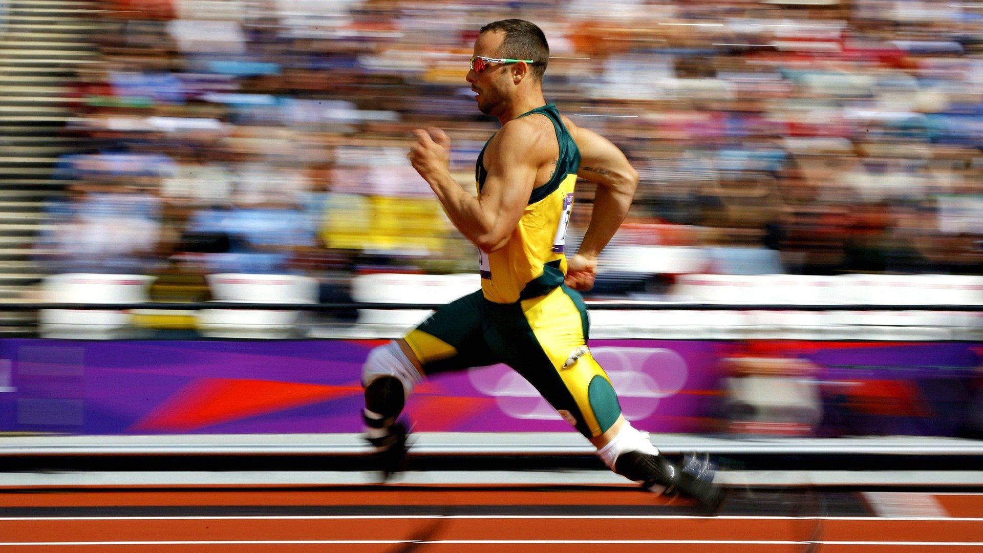 【数字化转型】棒球运动如何借助科技迈向新纪元?,棒球科普